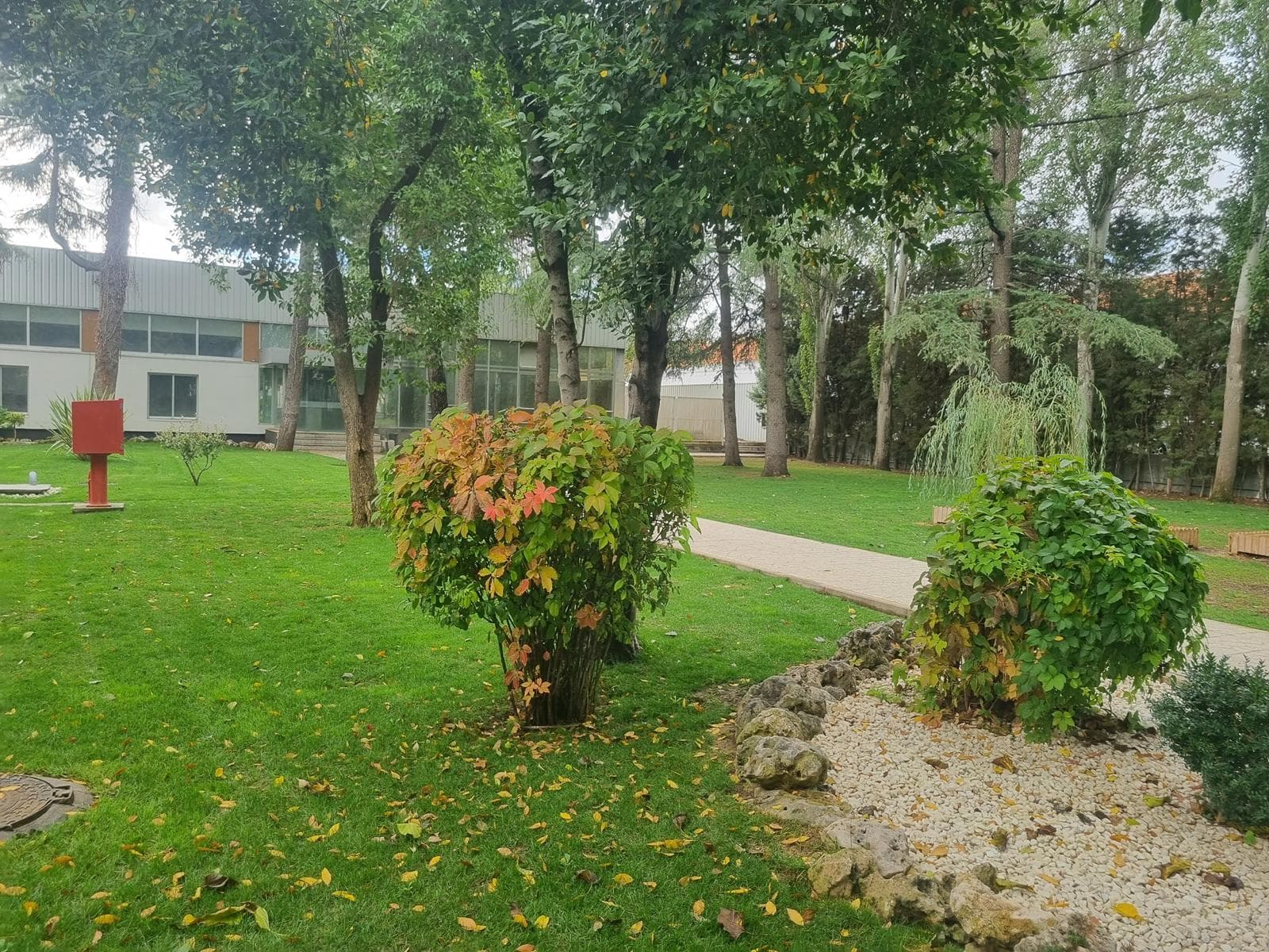 Nave Industrial en Torrejón - Imagen 24