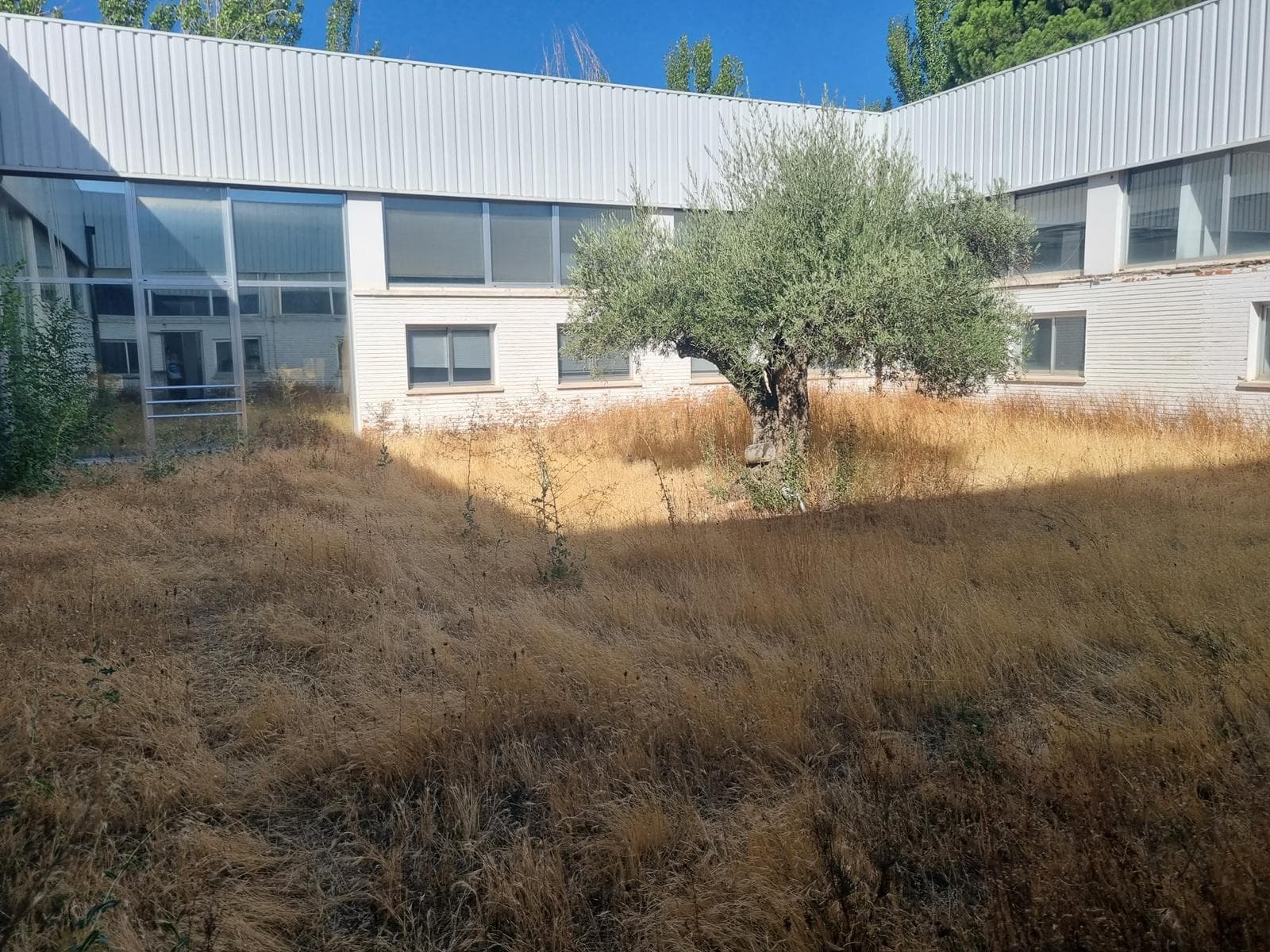 Nave Industrial en Torrejón - Imagen 28