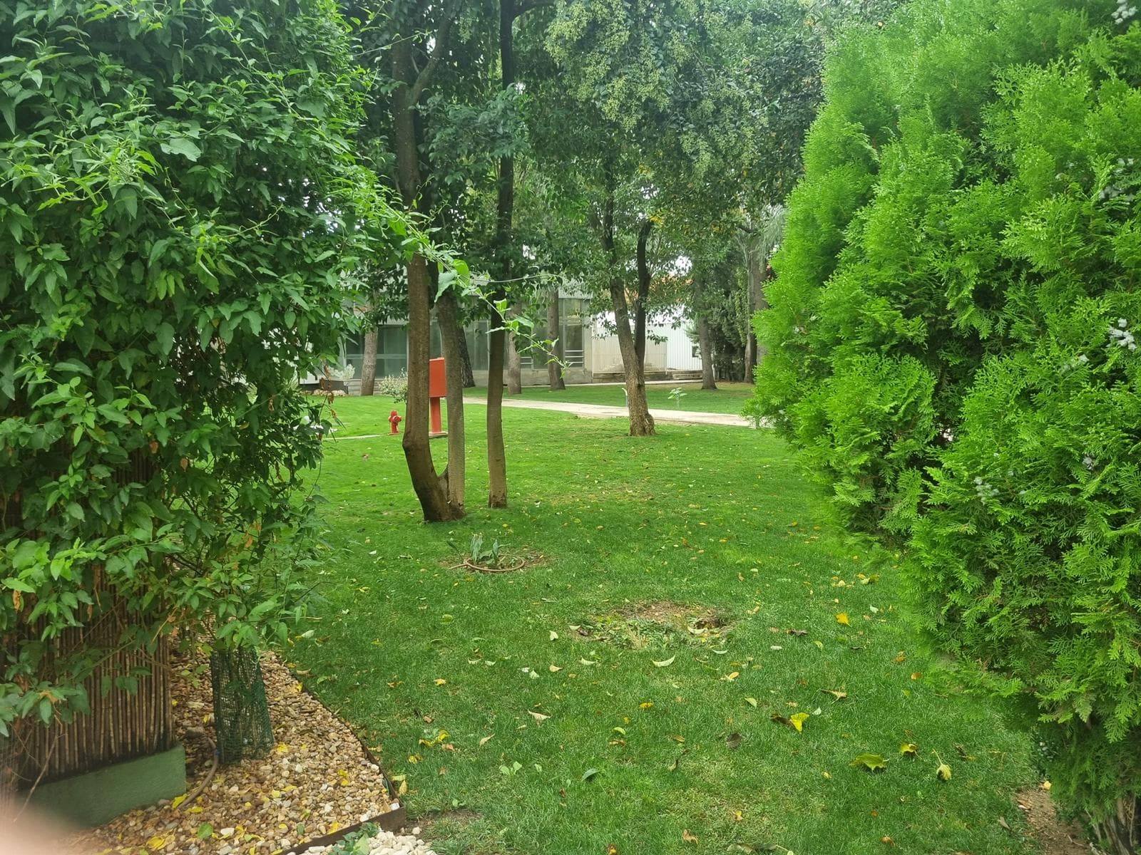 Nave Industrial en Torrejón - Imagen 39