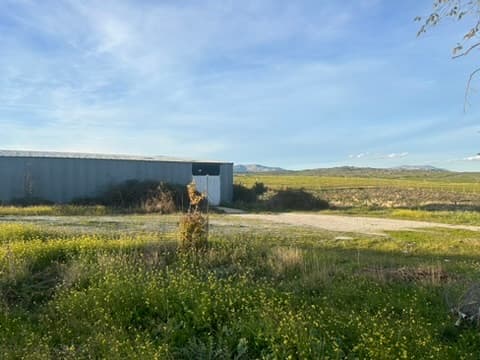 Platos y Escenarios Colmenar Viejo - Imagen 8