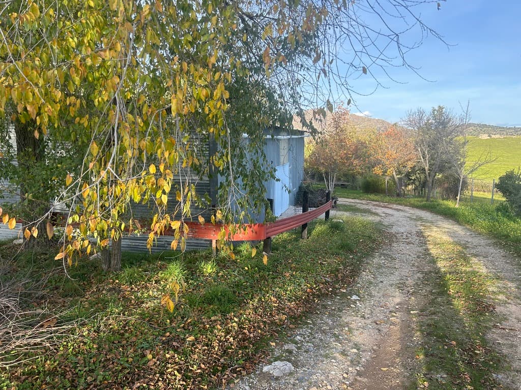 Platos y Escenarios Colmenar Viejo - Imagen 15