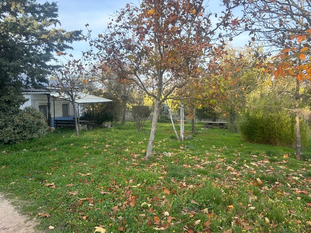 Platos y Escenarios Colmenar Viejo - Imagen 27