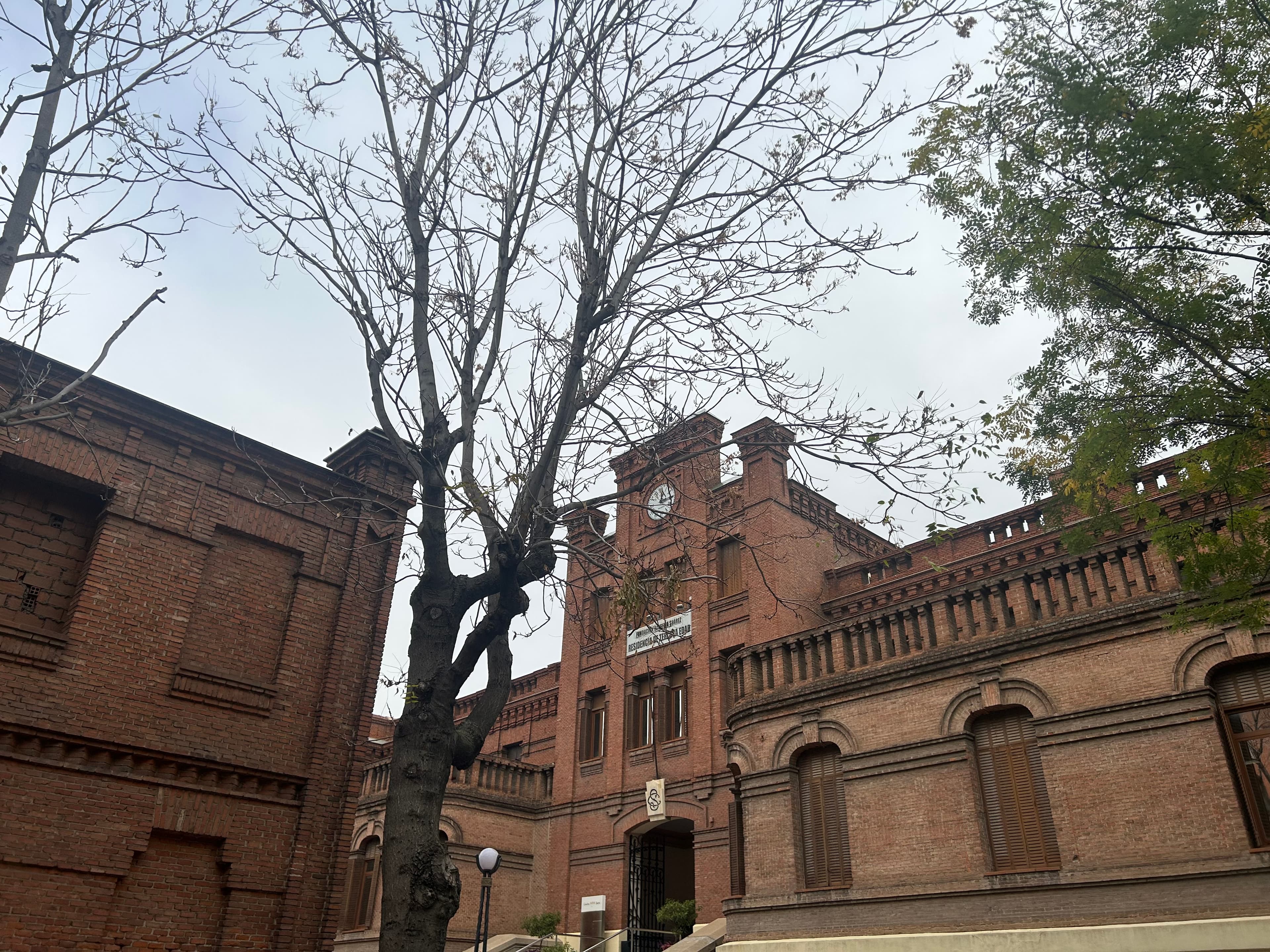 Residencia de Ancianos - Imagen 15