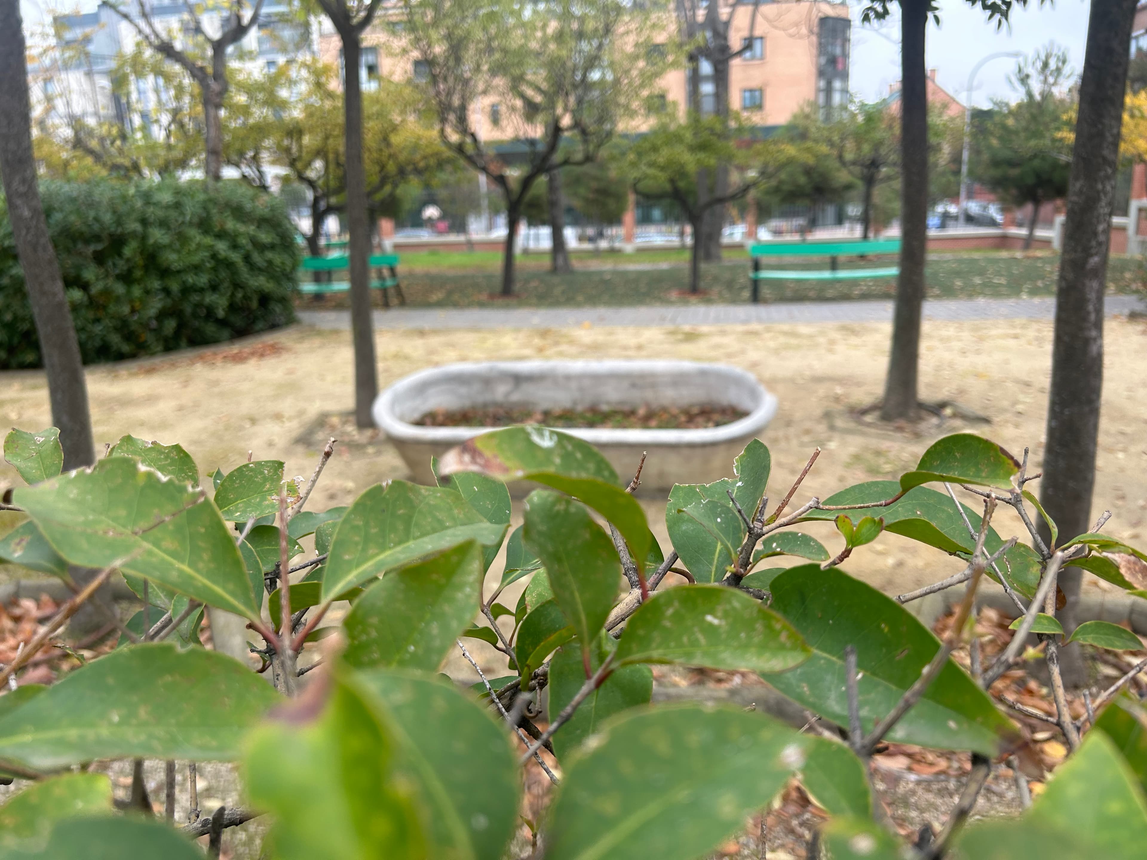 Residencia de Ancianos - Imagen 19