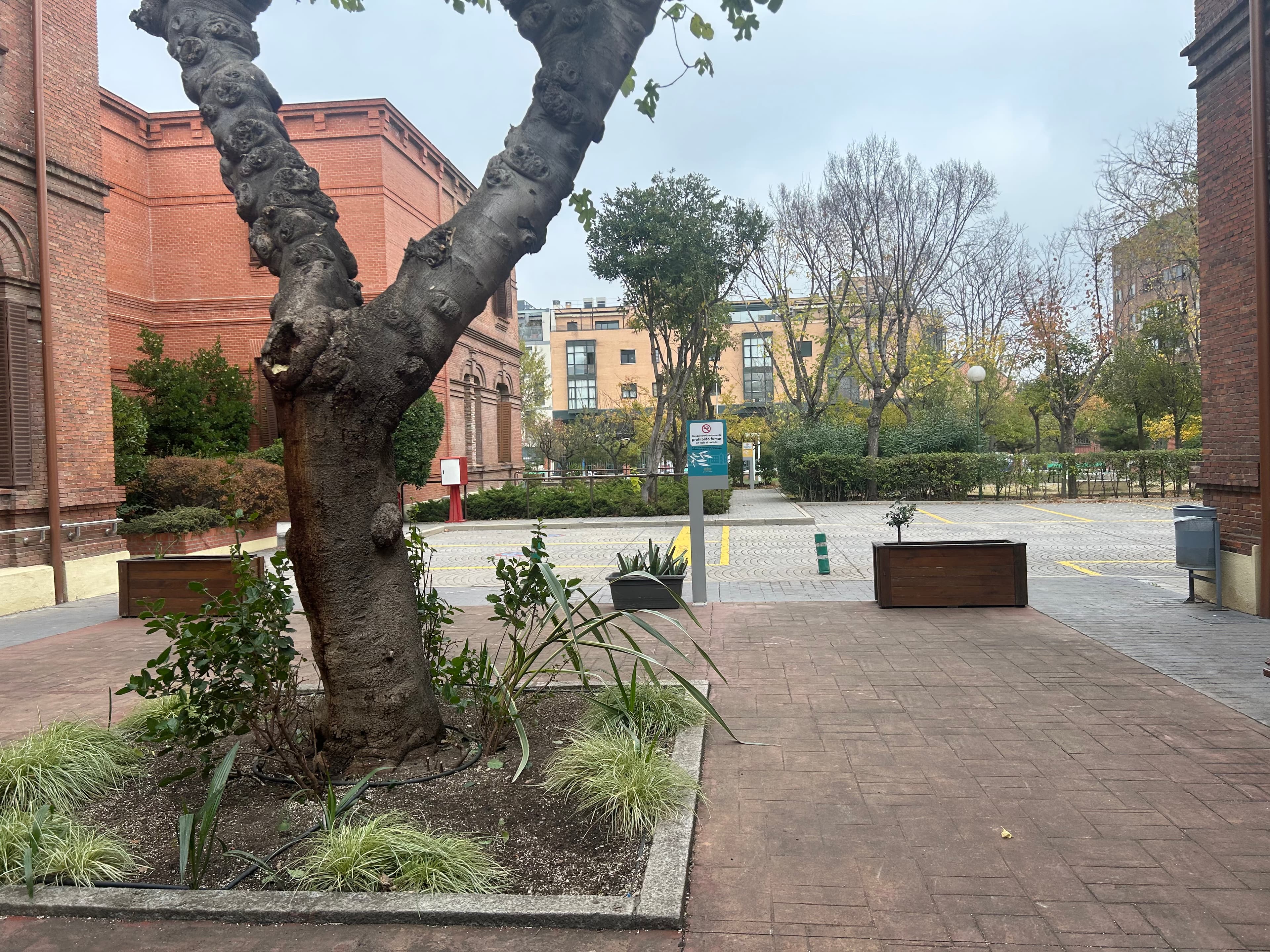 Residencia de Ancianos - Imagen 22