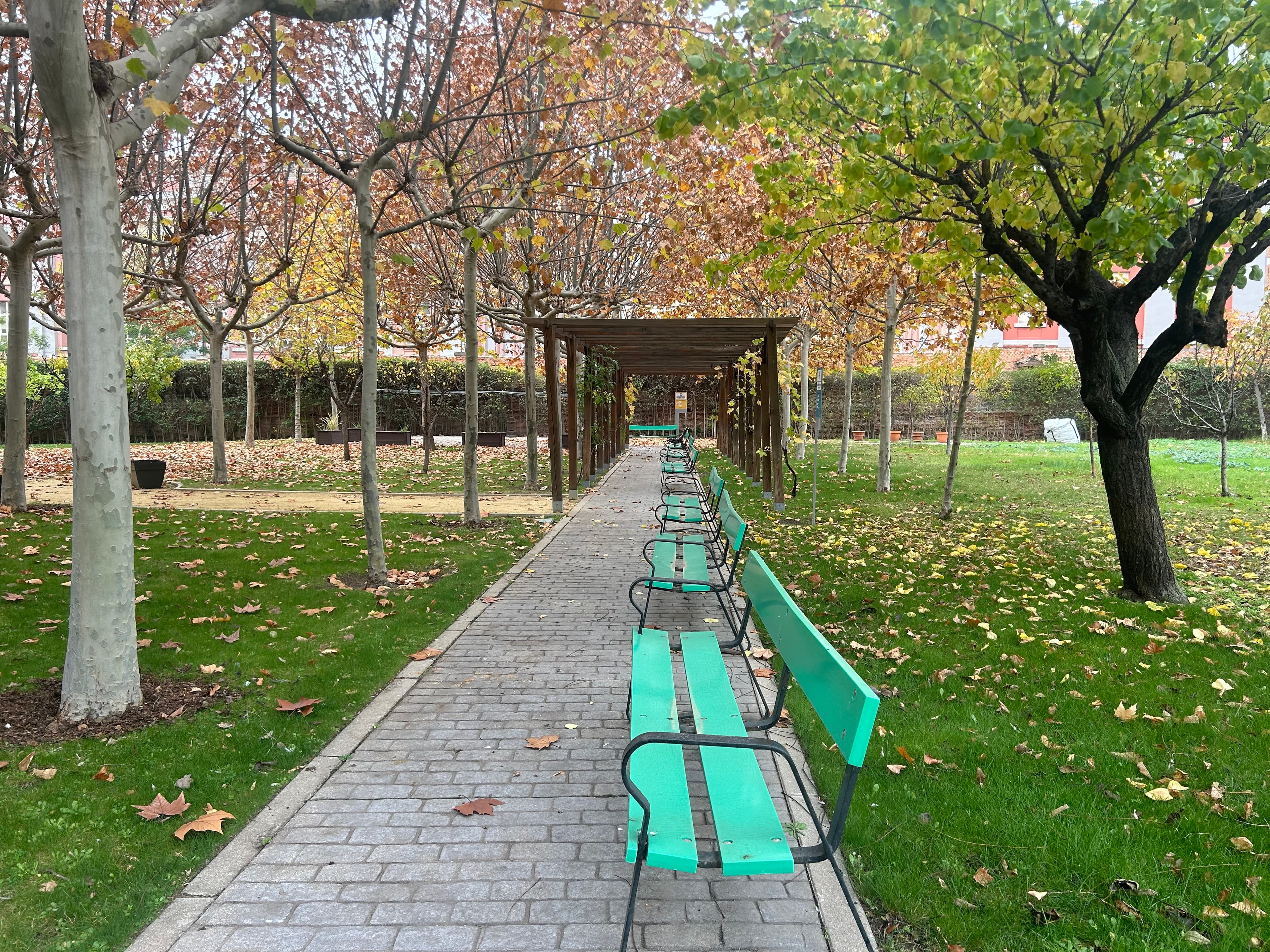 Residencia de Ancianos - Imagen 26