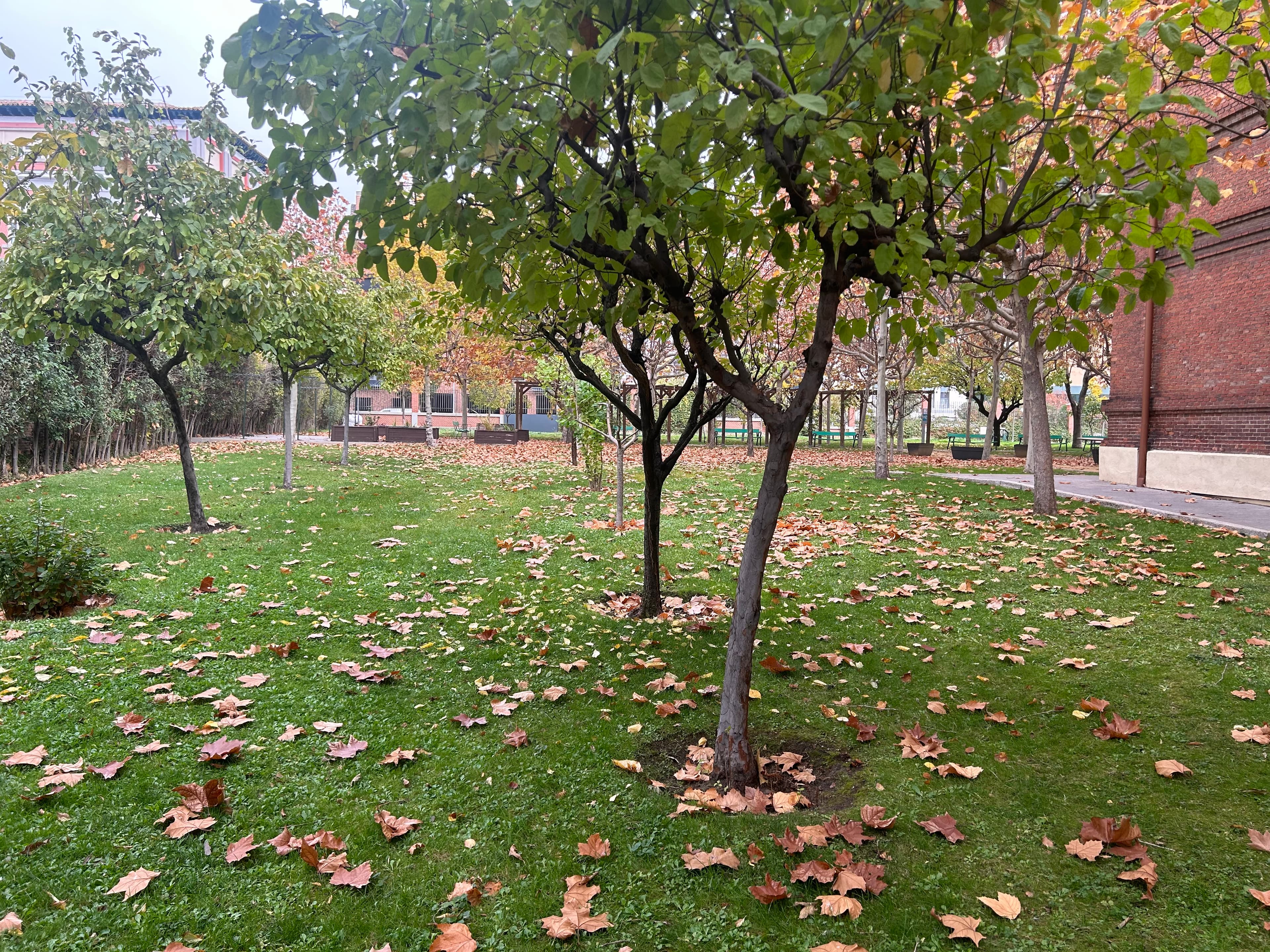 Residencia de Ancianos - Imagen 30